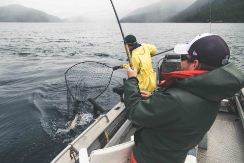 Sport Fishing – Haida Gwaii Beach Cabins